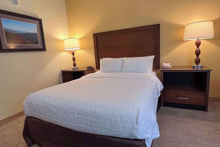 Room 15 of 40