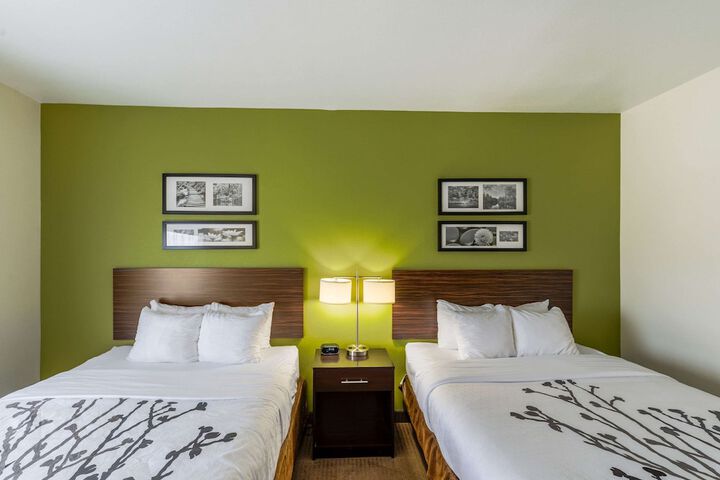 Room 15 of 53