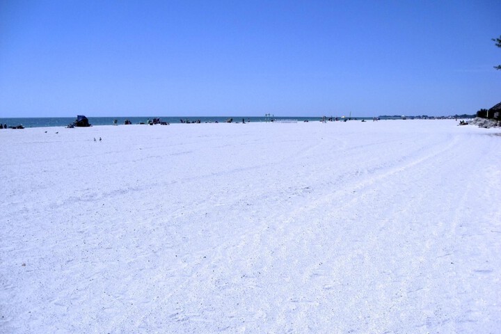 Anna Maria Island Beach Palms 5B