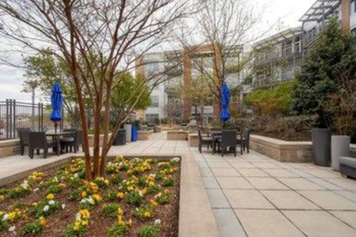 Global Luxury Suites at Park Crest Lofts