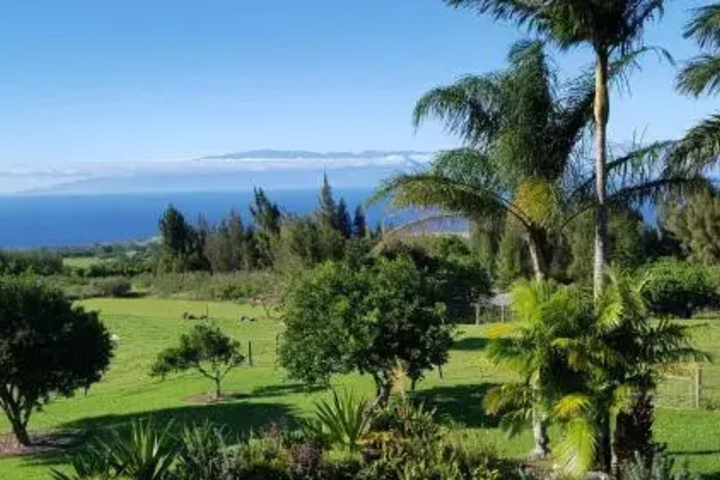 Aloha Cottage