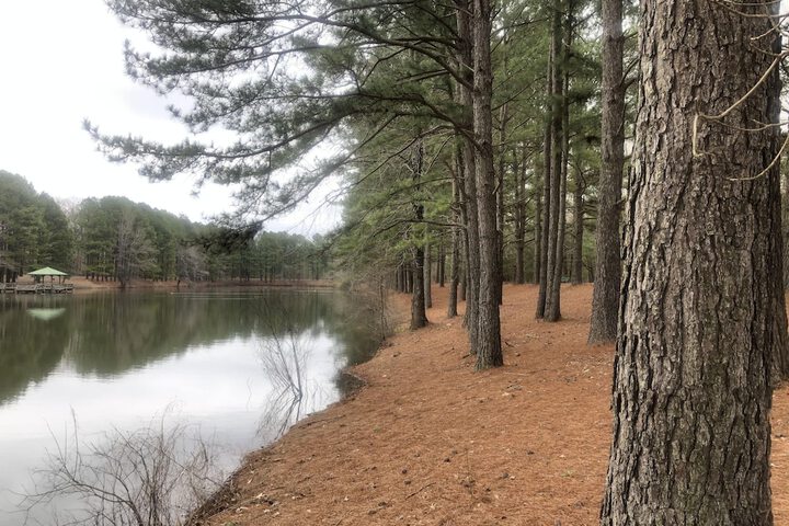 Property Grounds 54 of 54
