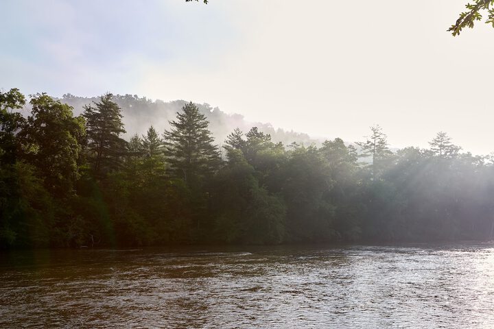 Asheville River Cabins