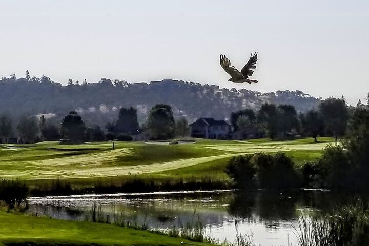 Golf 85 of 115