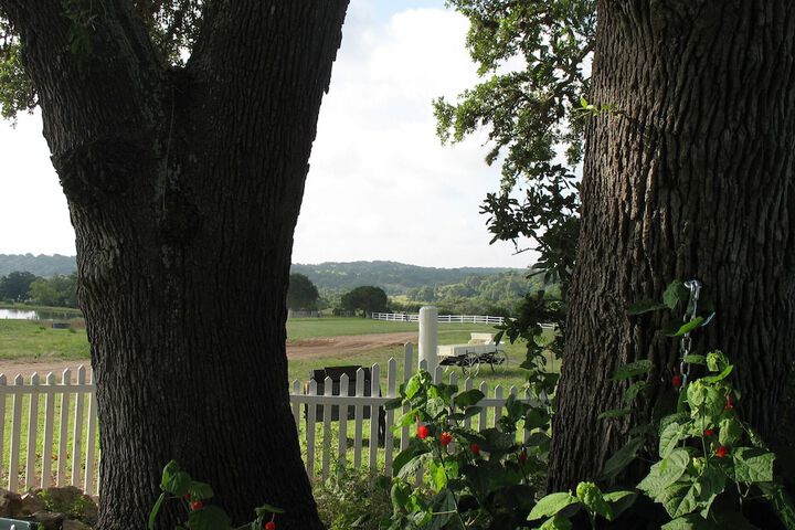 The Alexander at Creek Road