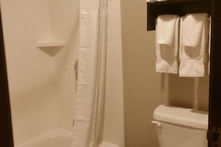 Comfort Inn & Suites Ludington near US-10