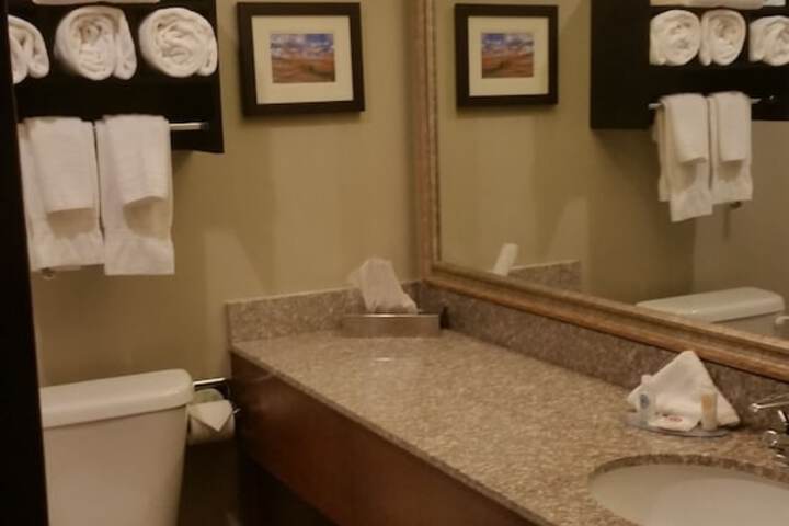 Comfort Inn & Suites Ludington near US-10