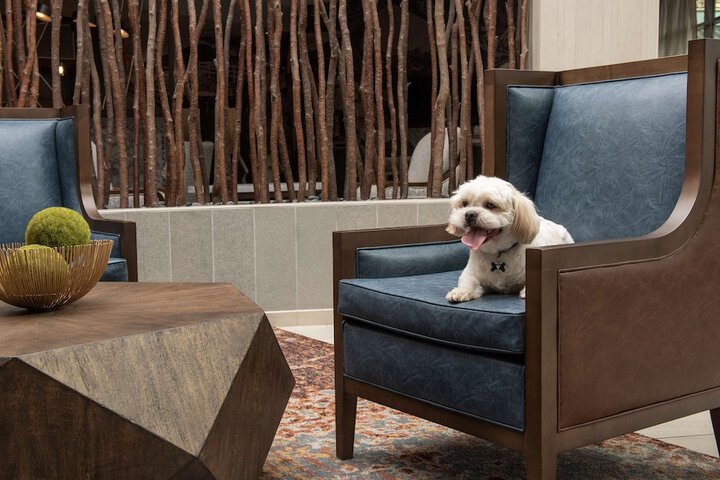 Pet Friendly 52 of 52
