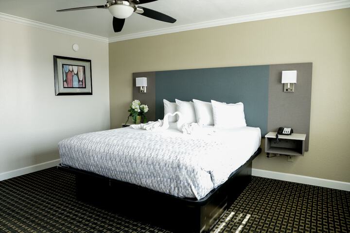 Room 47 of 82