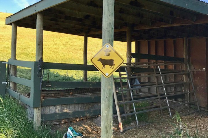 Property Grounds 55 of 58