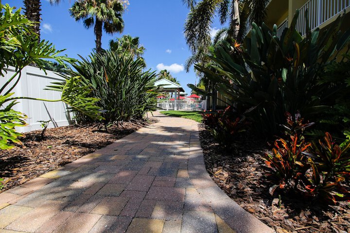 Treasure Island Hotel and Marina