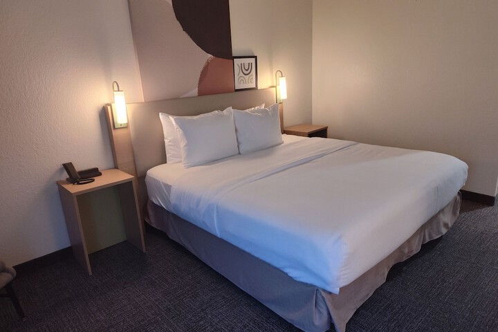 Spark by Hilton Stevensville