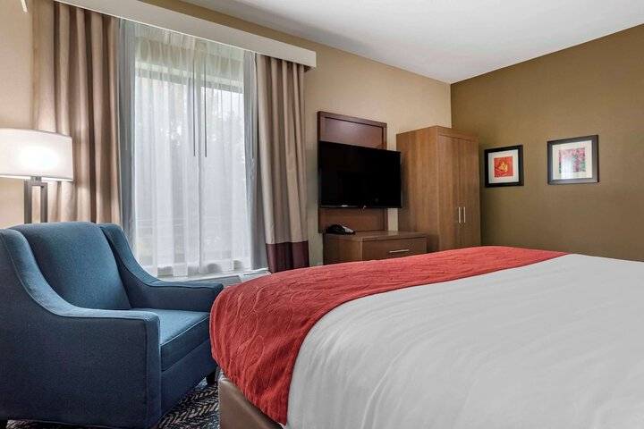 Comfort Inn & Suites Downtown near University