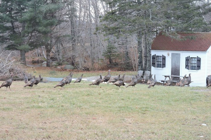 Open Hearth Inn