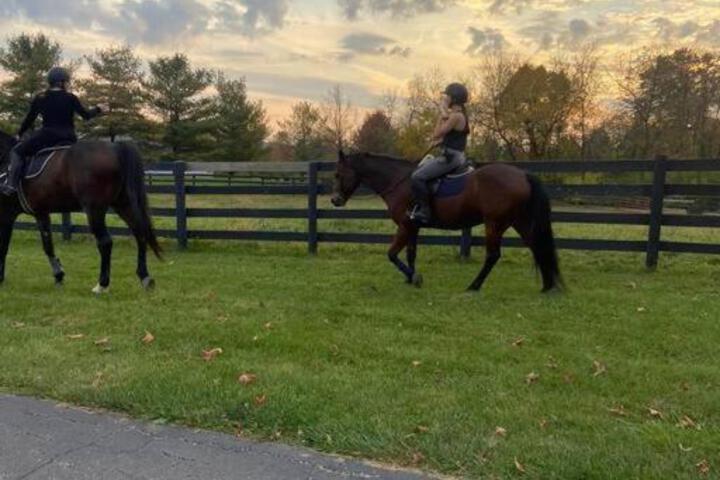 102 Acre Pet Friendly Horse Farm! Bring your horse too!