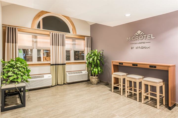 Microtel Inn by Wyndham Victor / Rochester