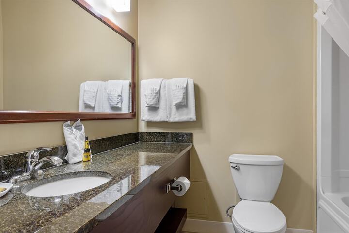 Best Western Plus Fredericton Hotel & Suites