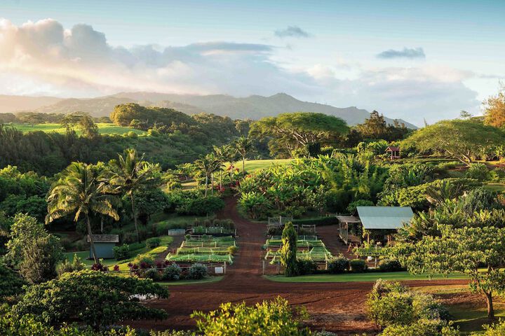 The Lodge at Kukui’ula