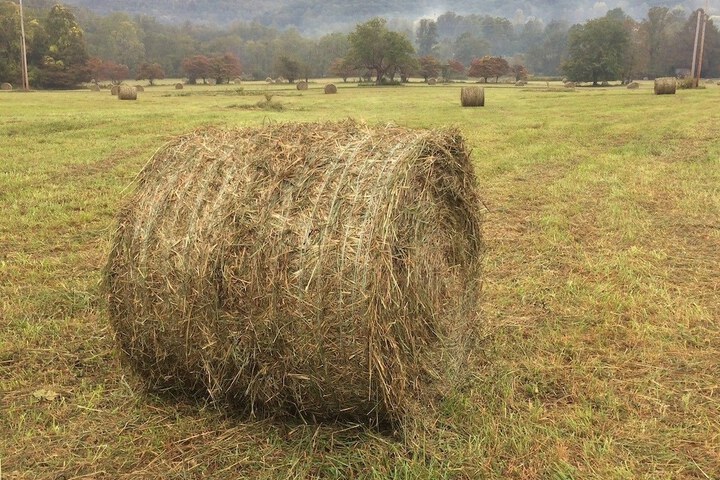 Pisgah View Ranch