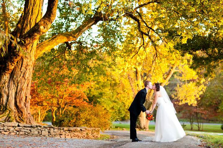 Wedding/Banquet 49 of 54