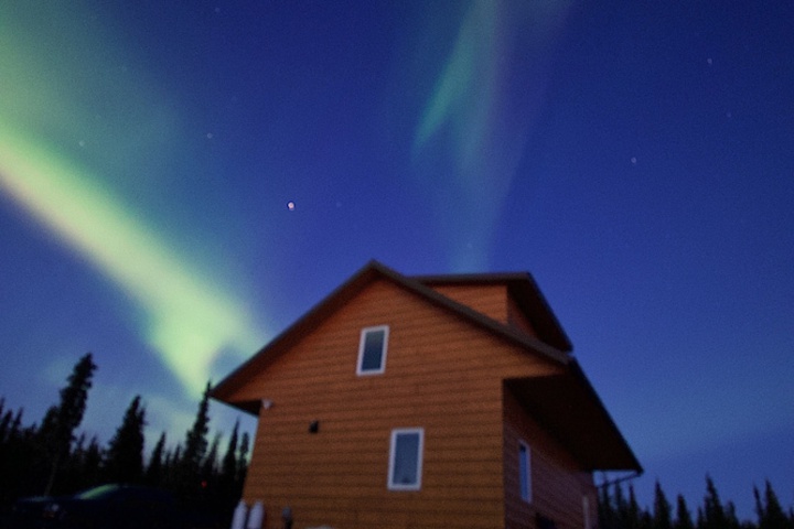 Denali Wild Stay