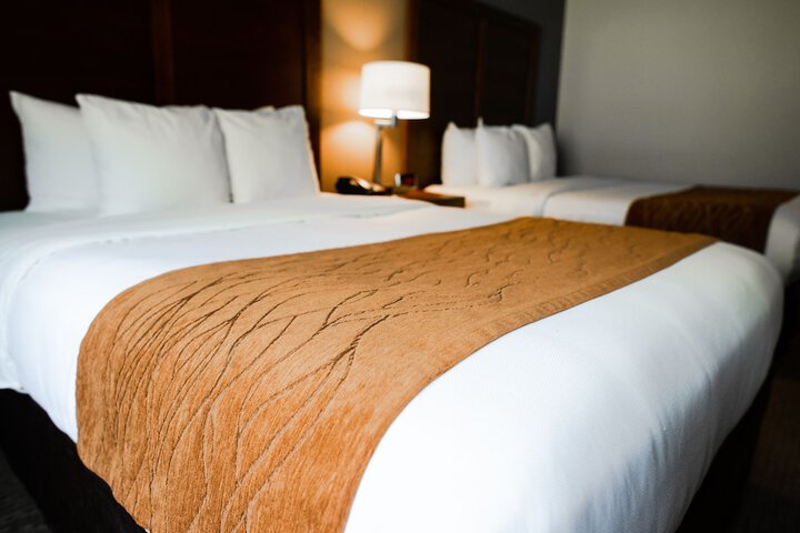 Comfort Inn & Suites Custer - Crazy Horse Area