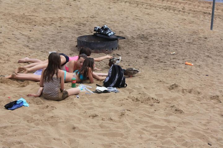 Beach 54 of 67