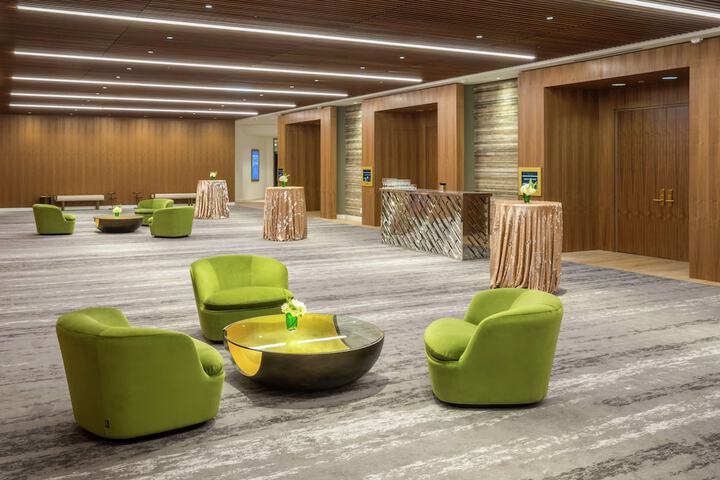C. Baldwin Curio Collection by Hilton