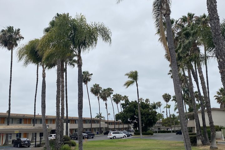 Hotel Palmeras Chula Vista