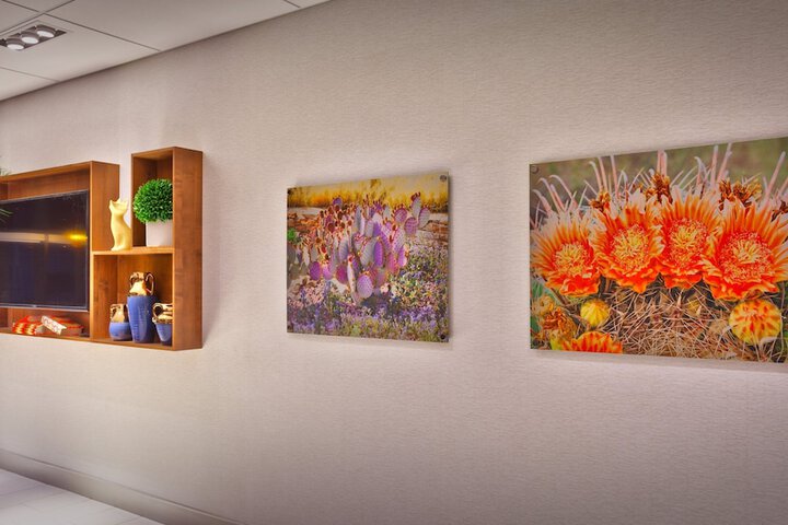 Holiday Inn Express & Suites Phoenix West - Buckeye by IHG