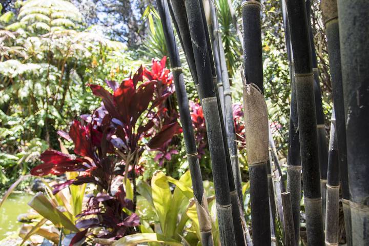 Chalet Kilauea