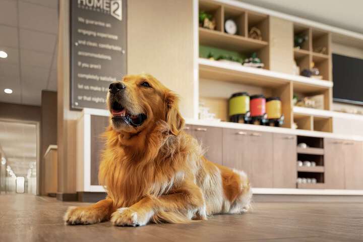 Home2 Suites by Hilton Rochester Greece
