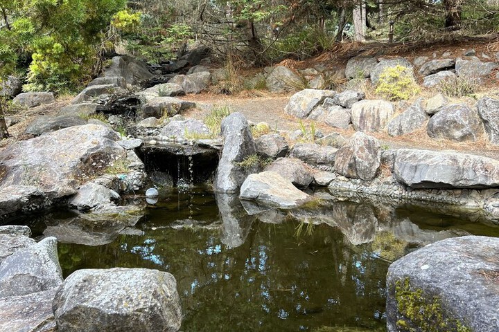 Property Grounds 61 of 64