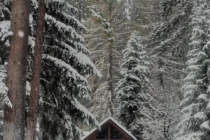 Cold Springs Resort