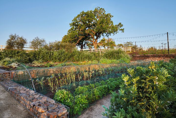 The Meritage Resort and Spa