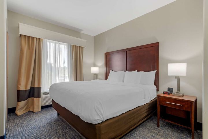 Comfort Suites Stockbridge Atlanta South