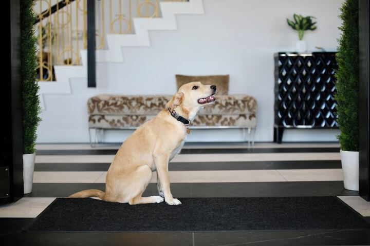 Pet Friendly 36 of 36