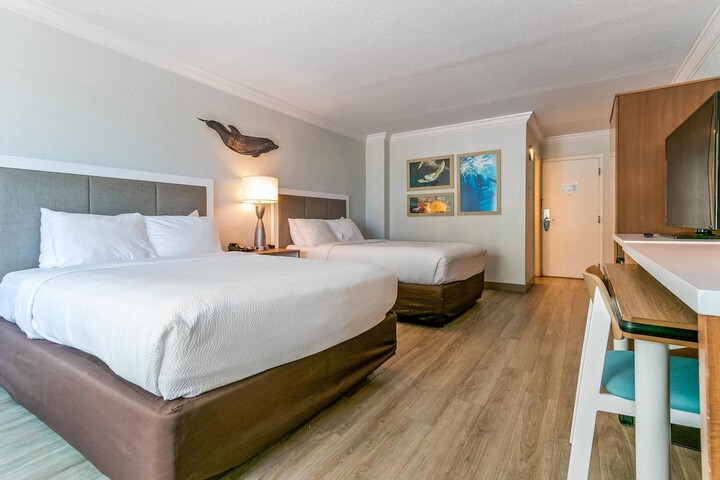 Dolphin Sands Clearwater Beach an Ascend Collection Hotel