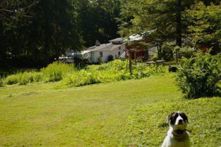 Brook Falls Farm