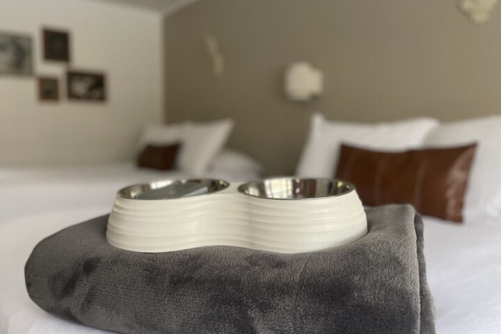 Room 30 of 53