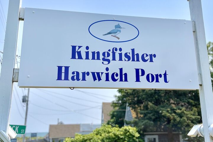 Kingfisher Harwich Port