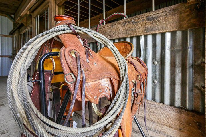 Renovated Bunkhouse on 12-acre Horse Farm!