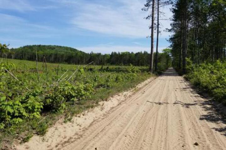 Black Mountain Recreational Area Vacation Rental