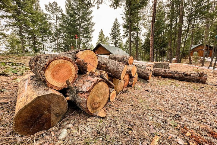 Whispering Pines cabin rentals
