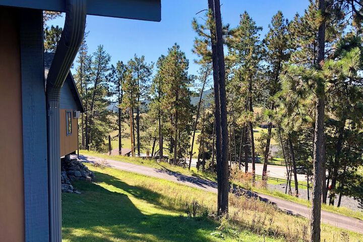 Mountain View Lodge & Cabins