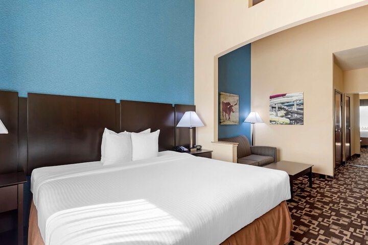 Best Western Plus Arlington North Hotel & Suites