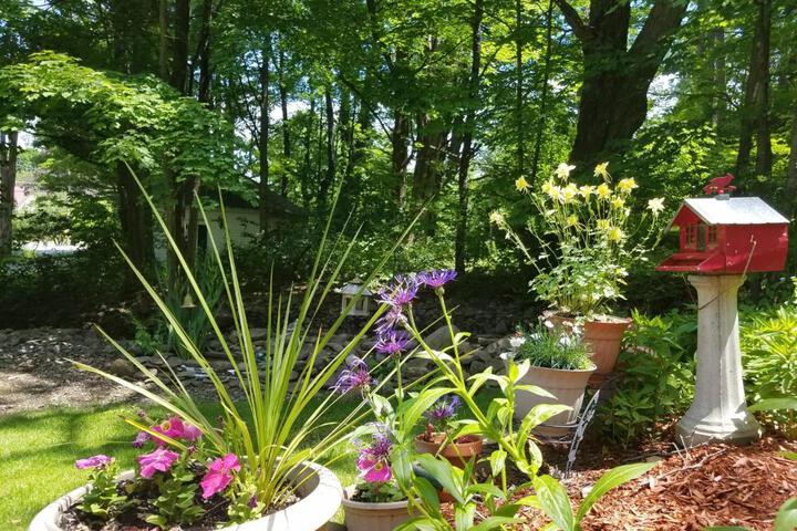 Kountry Living Bed and Breakfast