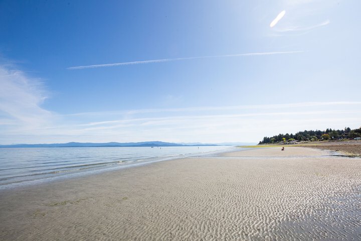 Beach 21 of 31