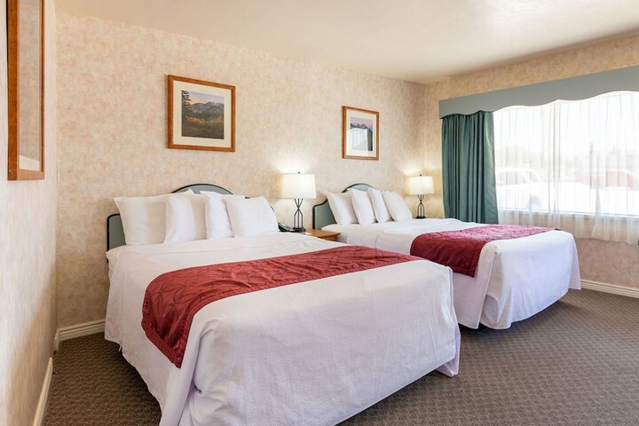 Swiss Alps Inn