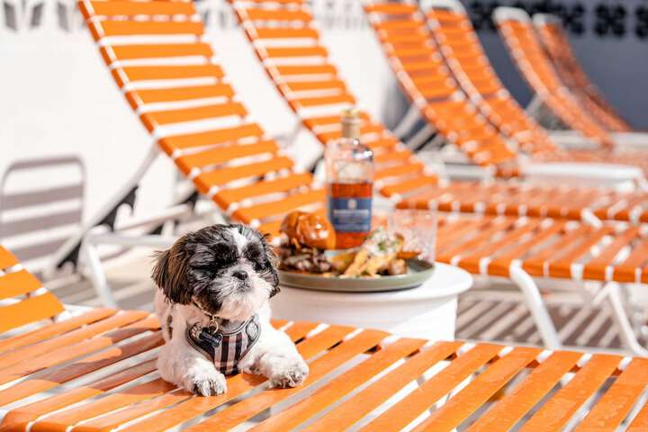Pet Friendly 114 of 115